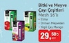 Bim 21 Ocak 2025 Kataloğu Mesh Orman Meyveleri 16 Uzun Stick Çay