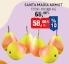 Bim 25 Nisan 2025 Kataloğu Santa Maria Armut 1 kg