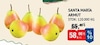 Bim 9 Mayıs 2025 Kataloğu Santa Maria Armut 1 kg