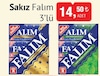 Bim 20 Mayıs 2025 Kataloğu Falım Nane Aromalı Şekersiz Sakız 7 gr 3'lü