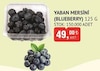 Bim 30 Mayıs 2025 Kataloğu Yaban Mersini Blueberry 125 g 