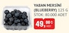 Bim 27 Haziran 2025 Kataloğu Yaban Mersini Blueberry 125 g 