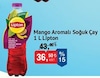 Bim 4 Temmuz 2025 Kataloğu Lipton Ice Tea Mango ve Egzotik Meyve 1 lt