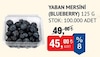 Bim 4 Temmuz 2025 Kataloğu Yaban Mersini Blueberry 125 g
