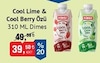 Bim 18 Temmuz 2025 Kataloğu Dimes Cool Lime Özü 310 ml