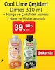 Bim 16 Eylül 2025 Kataloğu Dimes Cool Lime Şekersiz Mix 310 ml