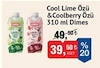 Bim 12 Eylül 2025 Kataloğu Dimes Cool Lime Özü 310 ml