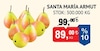 Bim 10 Ekim 2025 Kataloğu Santa Maria Armut 1 kg