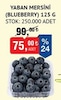 Bim 28 Kasım 2025 Kataloğu Yaban Mersini Blueberry 125 g 