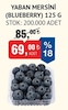Bim 5 Aralık 2025 Kataloğu Yaban Mersini Blueberry 125 g 