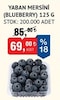 Bim 12 Aralık 2025 Kataloğu Yaban Mersini Blueberry 125 g 