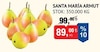 Bim 26 Aralık 2025 Kataloğu Santa Maria Armut 1 kg