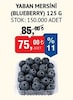Bim 9 Ocak 2026 Kataloğu Yaban Mersini Blueberry 125 g 