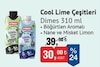 Bim 23 Ocak 2026 Kataloğu Dimes Cool Lime Çeşitleri 310 ml