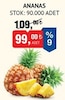Bim 3 Nisan 2026 Kataloğu Taze Ananas Adet