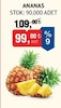 Bim 10 Nisan 2026 Kataloğu Taze Ananas Adet