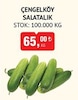 Bim 24 Nisan 2026 Kataloğu Çengelköy Salatalık 1 kg
