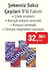 Bim 5 Mayıs 2026 Kataloğu Falım Damla Sakızı Aromalı Şekersiz Sakız 7 gr 5'li