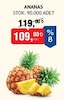 Bim 15 Mayıs 2026 Kataloğu Taze Ananas Adet