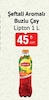 Bim 9 Haziran 2026 Kataloğu Lipton Ice Tea Şeftali 1 lt