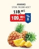 Bim 5 Haziran 2026 Kataloğu Taze Ananas Adet