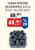 Bim 5 Haziran 2026 Kataloğu Yaban Mersini Blueberry 125 g 