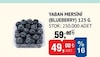 Bim 12 Haziran 2026 Kataloğu Blueberry-Yaban Mersini Yerli 125 gr
