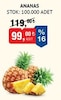 Bim 26 Haziran 2026 Kataloğu Taze Ananas Adet