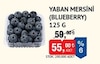 Bim 3 Temmuz 2026 Kataloğu Blueberry-Yaban Mersini Yerli 125 gr