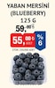 Bim 17 Temmuz 2026 Kataloğu Blueberry-Yaban Mersini Yerli 125 gr