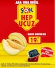 Şok 18 Mayıs 2024 Kataloğu Galya Kavun kg 