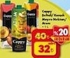 Şok 19 Haziran 2024 Kataloğu Cappy Atom Meyve Suyu 1 lt