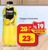 Şok 17 Temmuz 2024 Kataloğu Cappy Limonata 1 lt