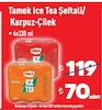 Şok 26 Şubat 2025 Kataloğu Tamek Ice Tea Şeftali 6x330 ml