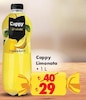 Şok 19 Mart 2025 Kataloğu Cappy Limonata 1 lt
