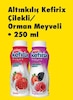 Şok 30 Nisan 2025 Kataloğu Altınkılıç Kefirix Çeşitleri 250 ml