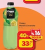 Şok 7 Mayıs 2025 Kataloğu Cappy Naneli Limonata 1 lt