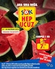 Şok 27 Haziran 2025 Kataloğu Karpuz 1 kg