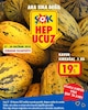 Şok 27 Haziran 2025 Kataloğu Kavun Kırkağaç 1 kg