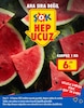 Şok 11 Temmuz 2025 Kataloğu Karpuz 1 kg