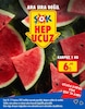Şok 18 Temmuz 2025 Kataloğu Karpuz 1 kg