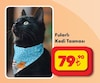 Şok 30 Temmuz 2025 Kataloğu Fularlı Kedi Tasması