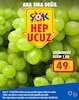 Şok 12 Eylül 2025 Kataloğu Çekirdeksiz Üzüm 1 kg