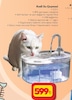 Şok 24 Eylül 2025 Kataloğu Kedi Su Çeşmesi 2.3 l