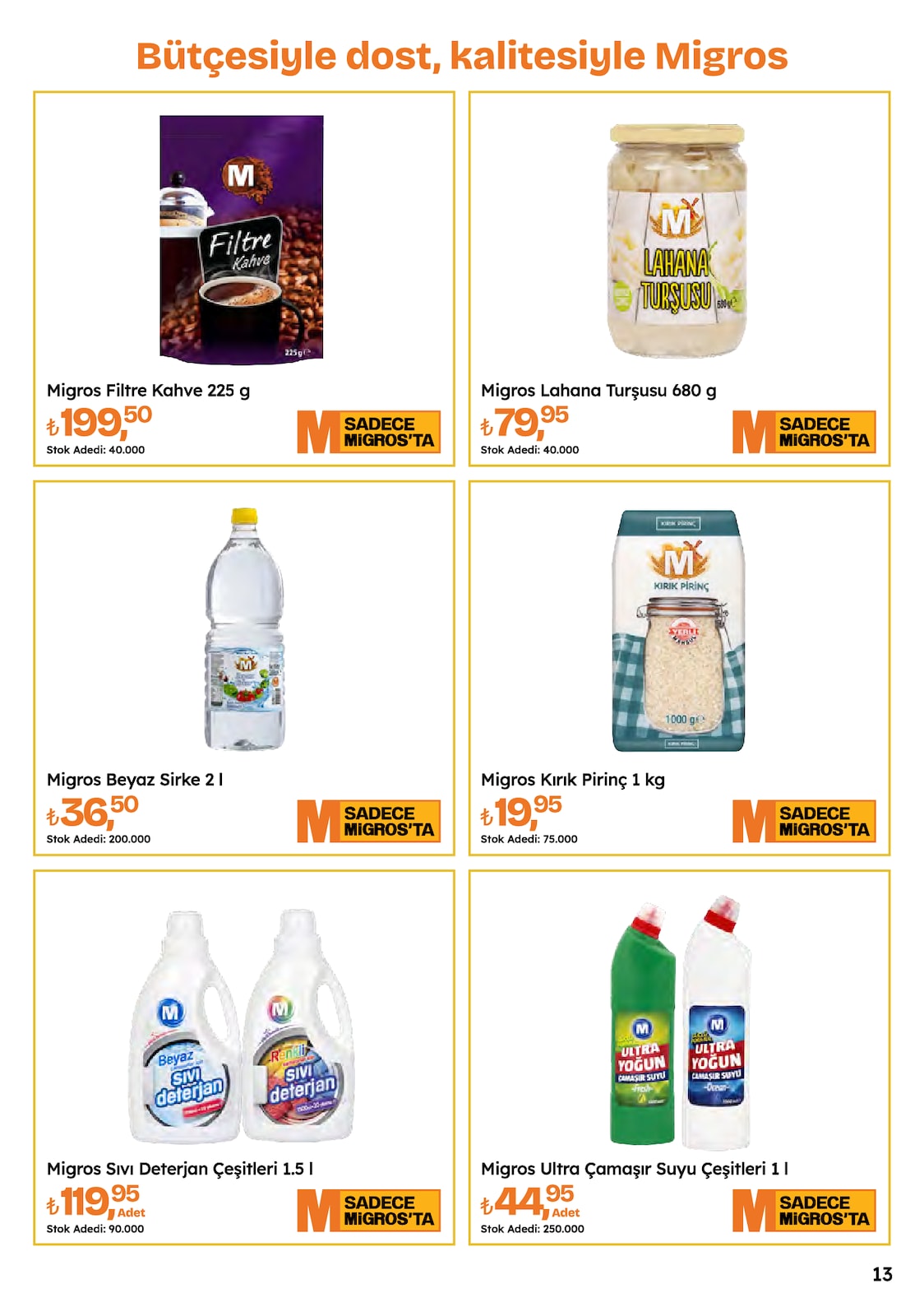 Migros katalog sayfa 13