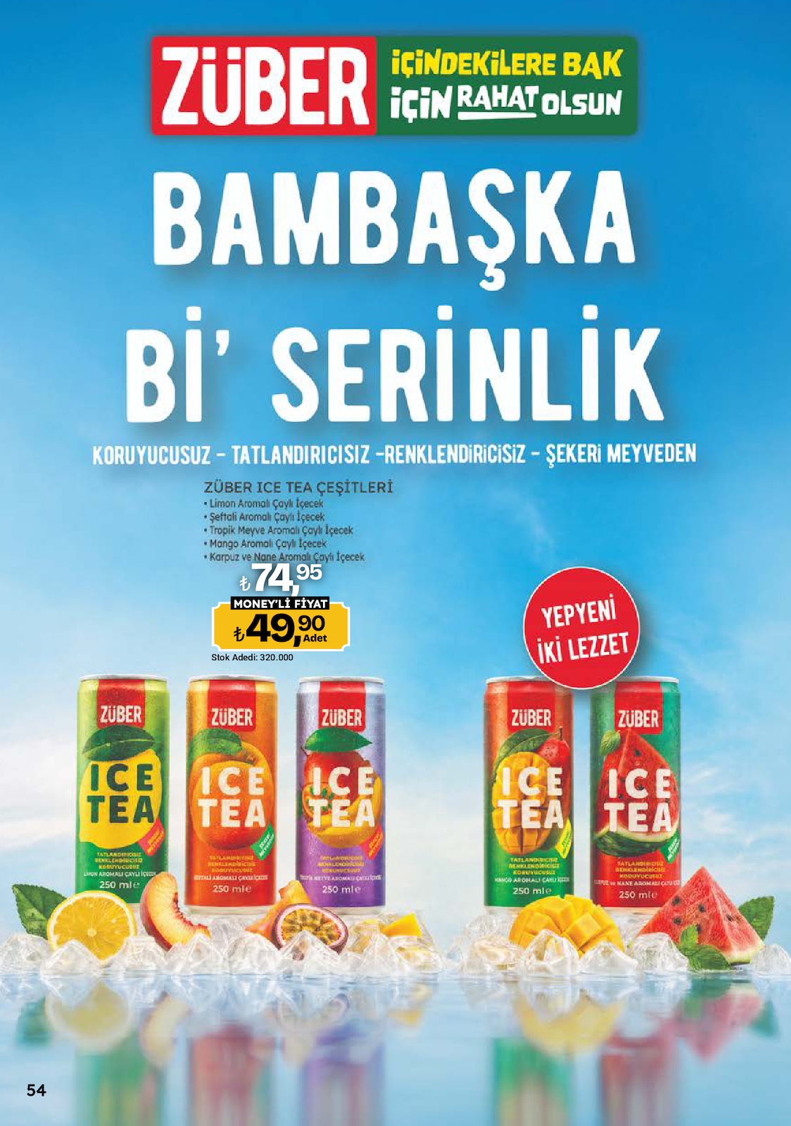 Sayfa 54