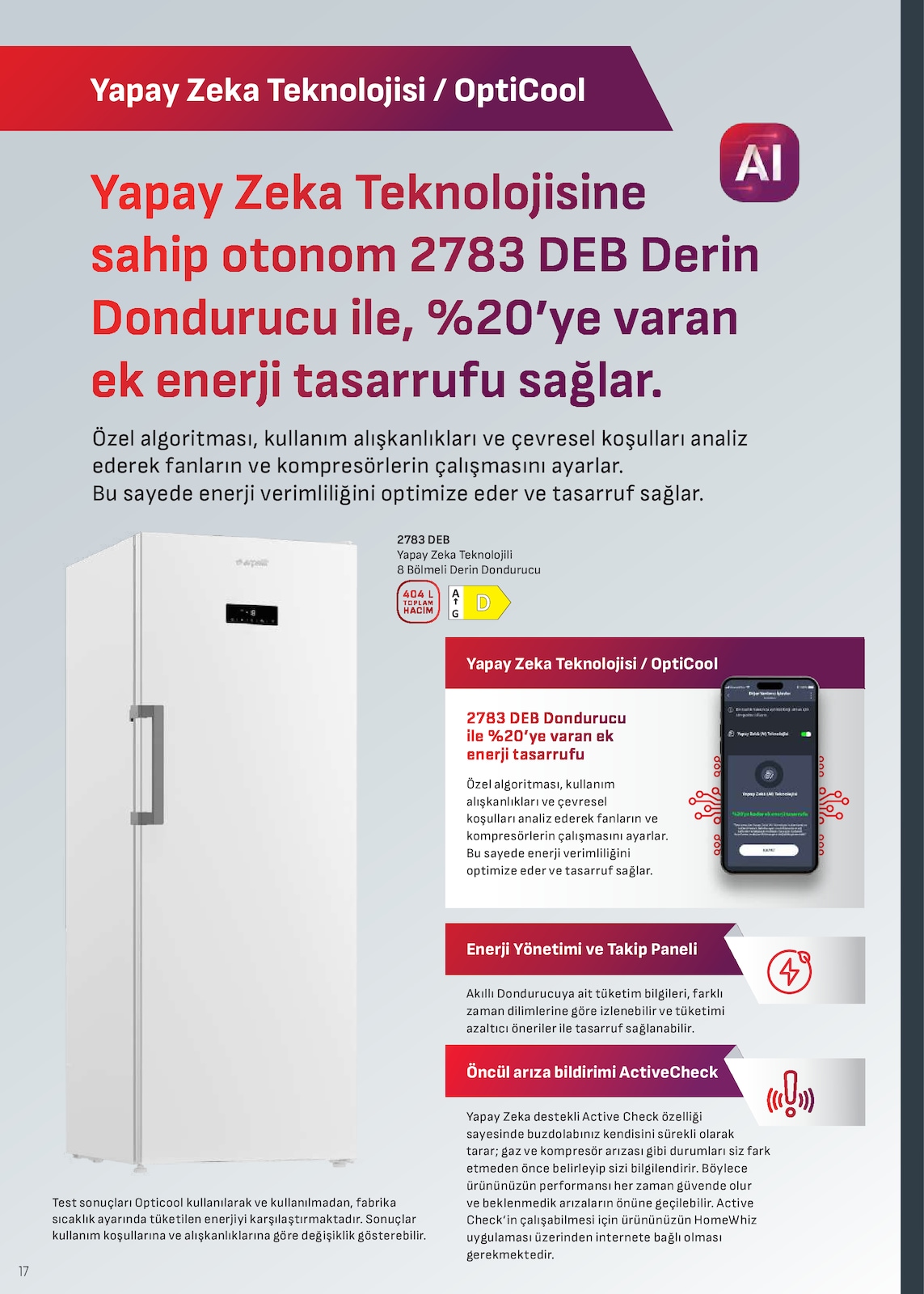Sayfa 17