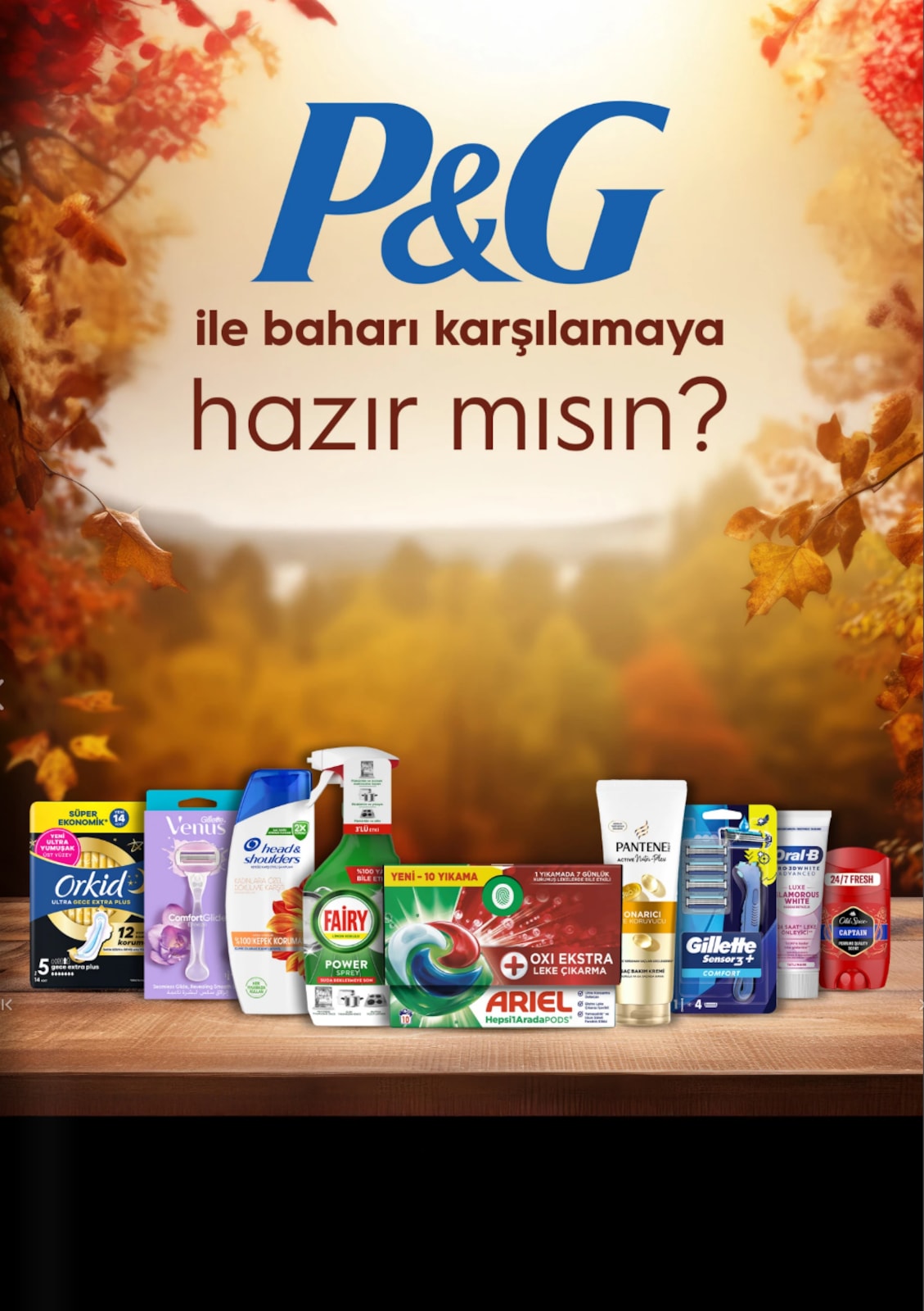 Gratis katalog sayfa 46