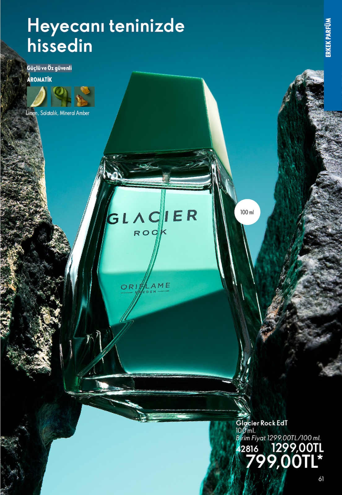 Sayfa 61