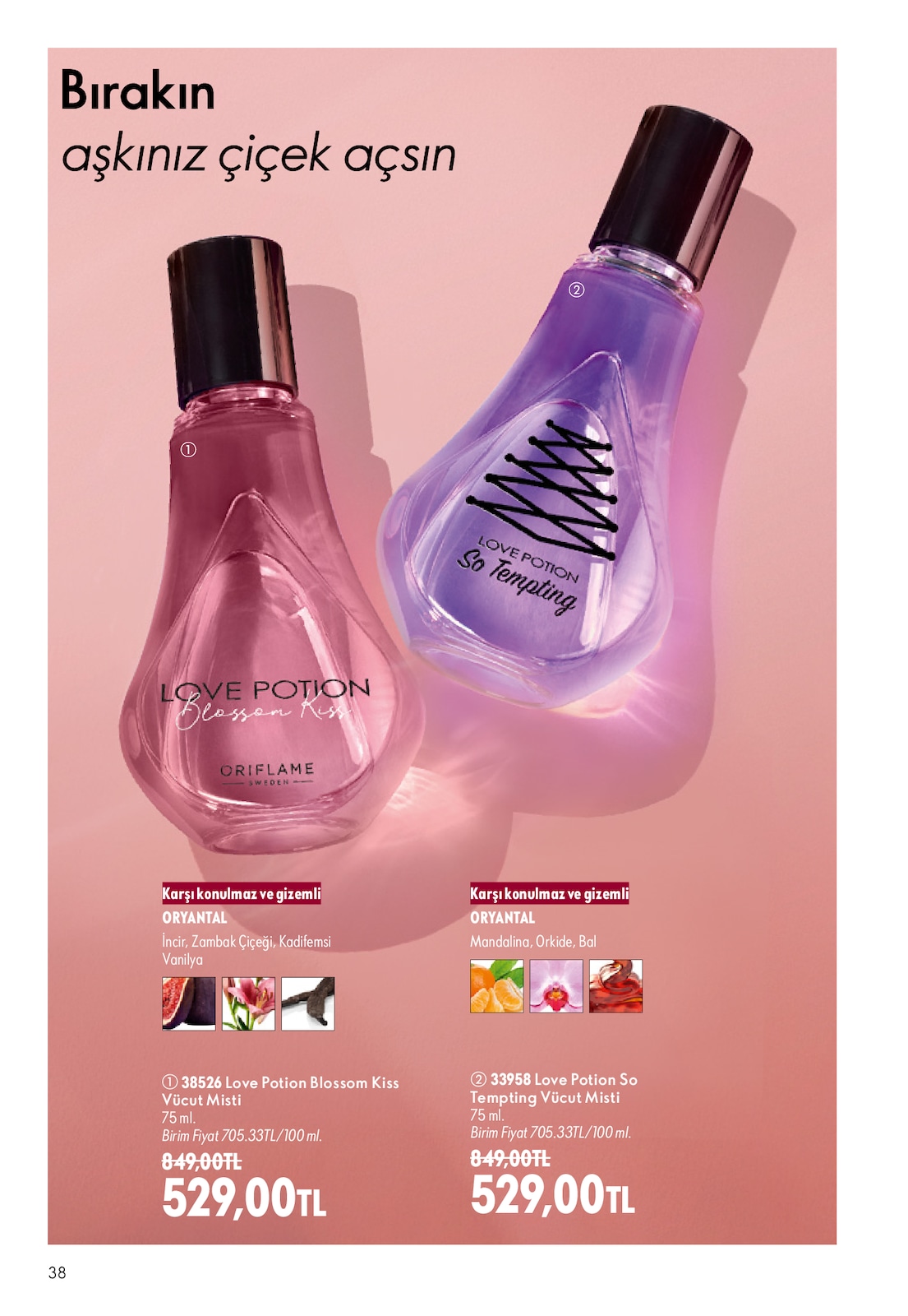 Sayfa 38